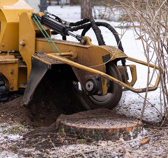 stump grinding