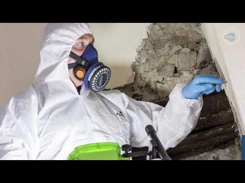 Asbestos Surveys London