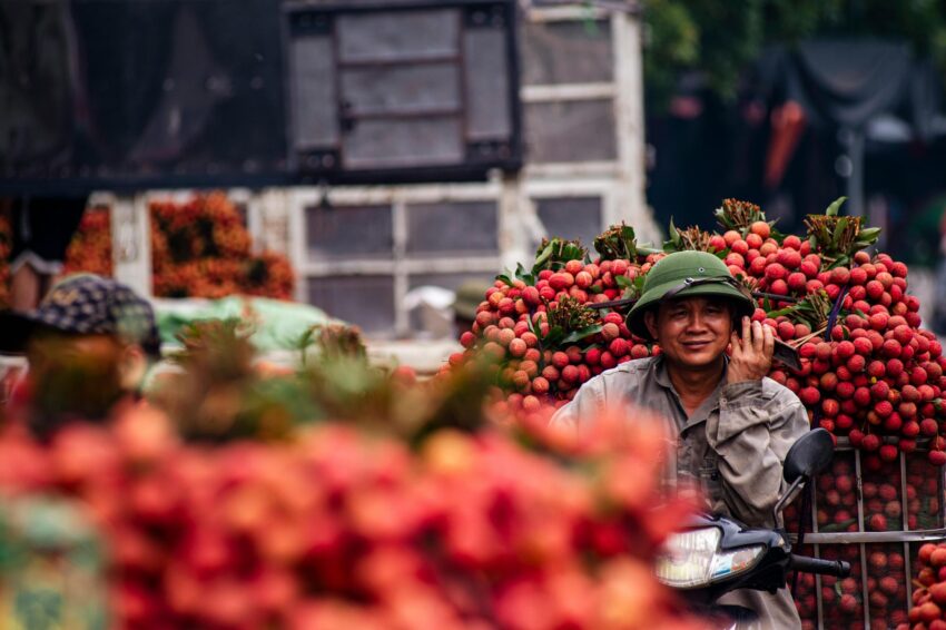 pexels vietnamhiddenlight 32759614