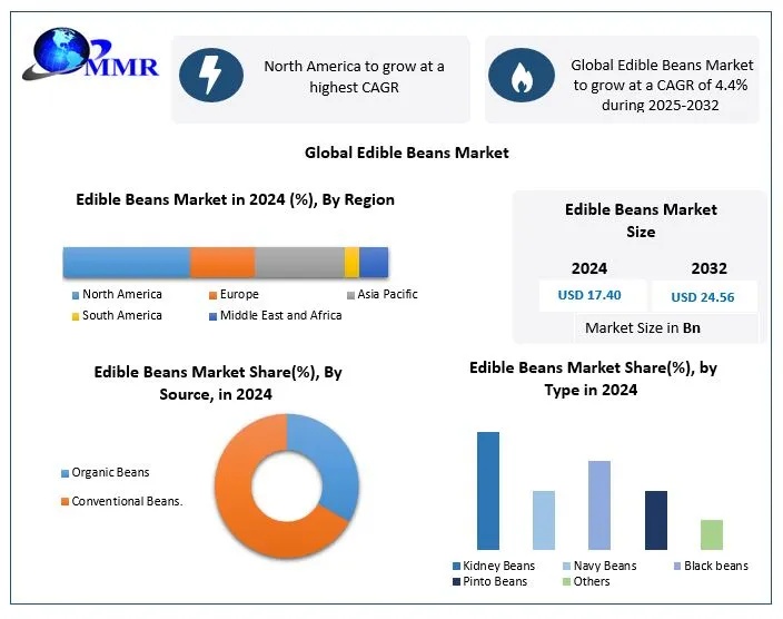 Global Edible Beans Market11 3
