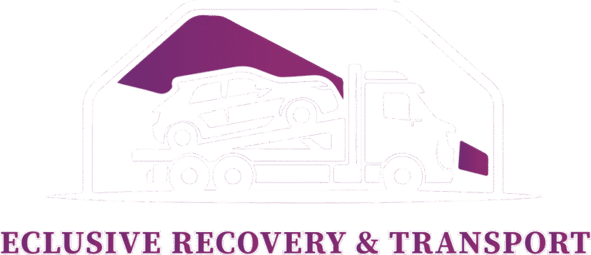 Exclusive logo