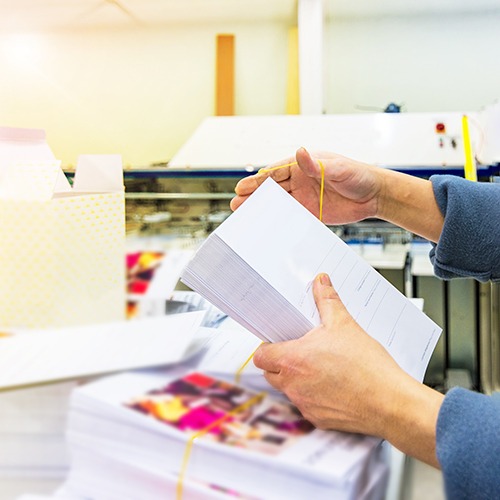 2 every door direct mail eddm 5 11zon