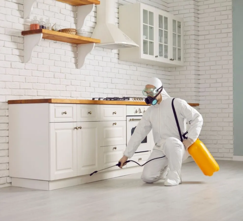 pest control 1704267073 1