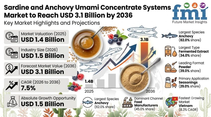 Sardine and Anchovy Umami Concentrate Systems Market