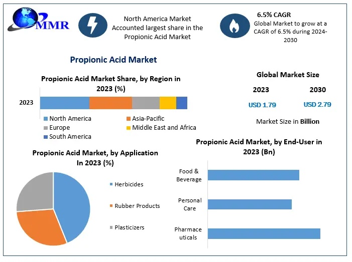 Propionic Acid Market 1