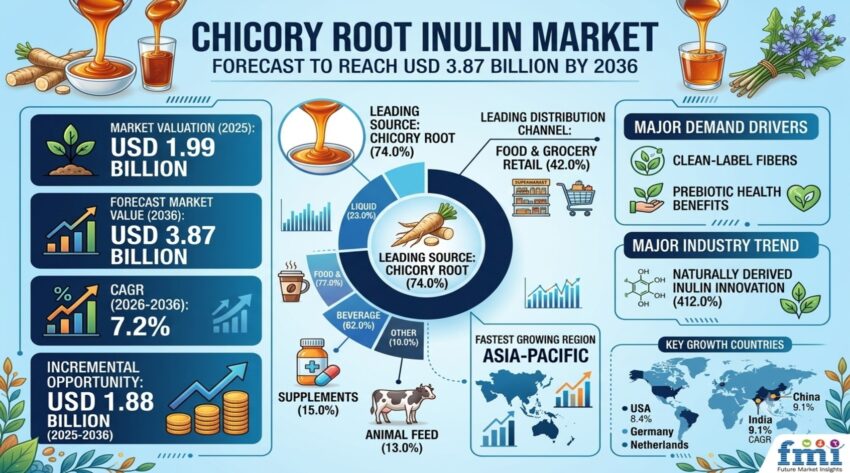 Chicory Root Inulin Market