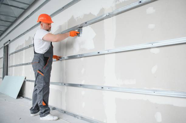 istockphoto 1511858244 612x612 1