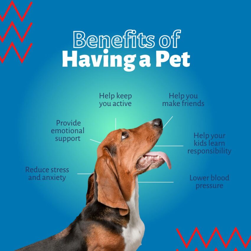 benefits of having a dog