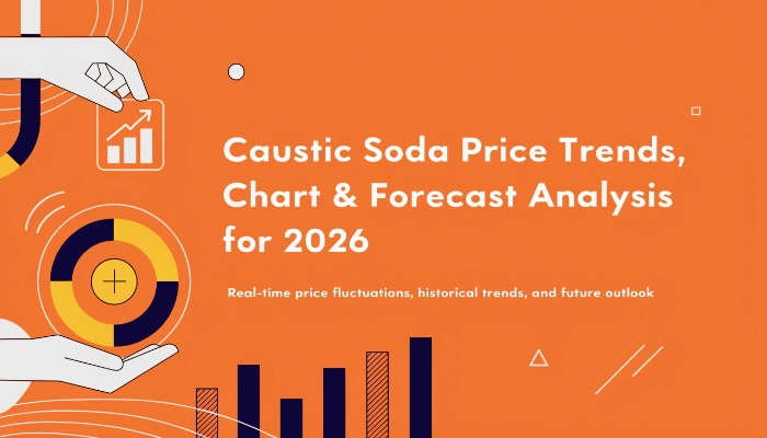 Caustic Soda Prices