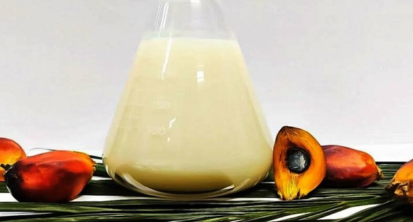 Palm Stearin Price Trend