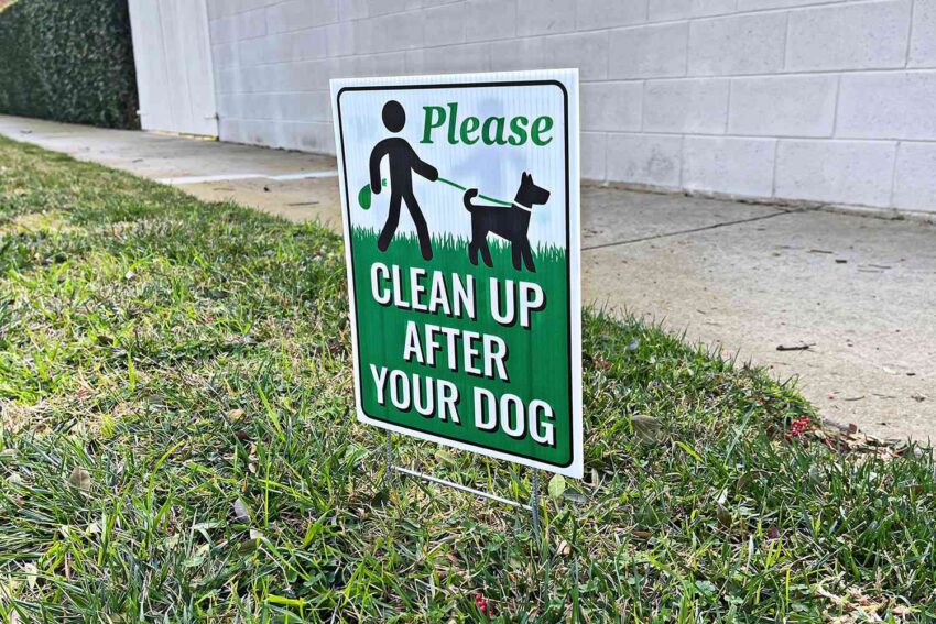dog poop dna test daf5b0a7290647de912b37791ce2bf12