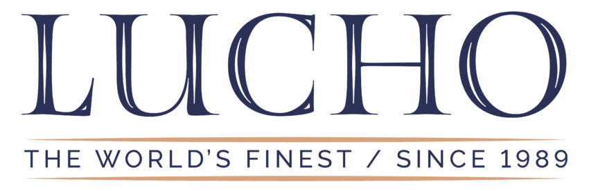 Blue Brown Lucho Horizontal Logo 1989