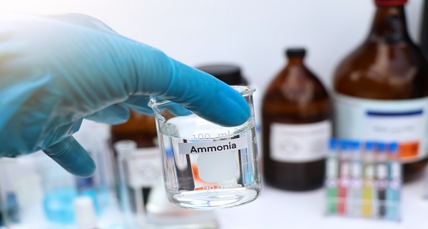Ammonia Price Trend