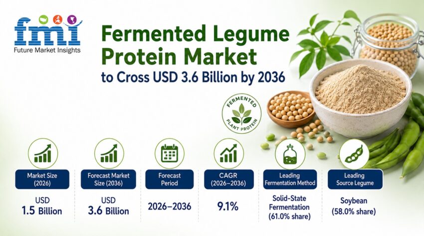 Fermented Legume Protein Market