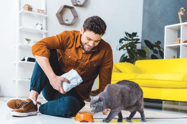 8f554eda99d9de6f2ab13d258f1a0044