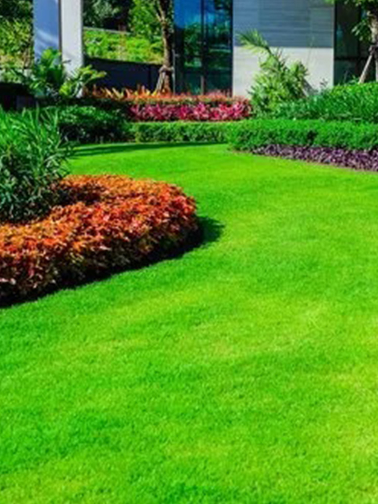Landscape Design 1