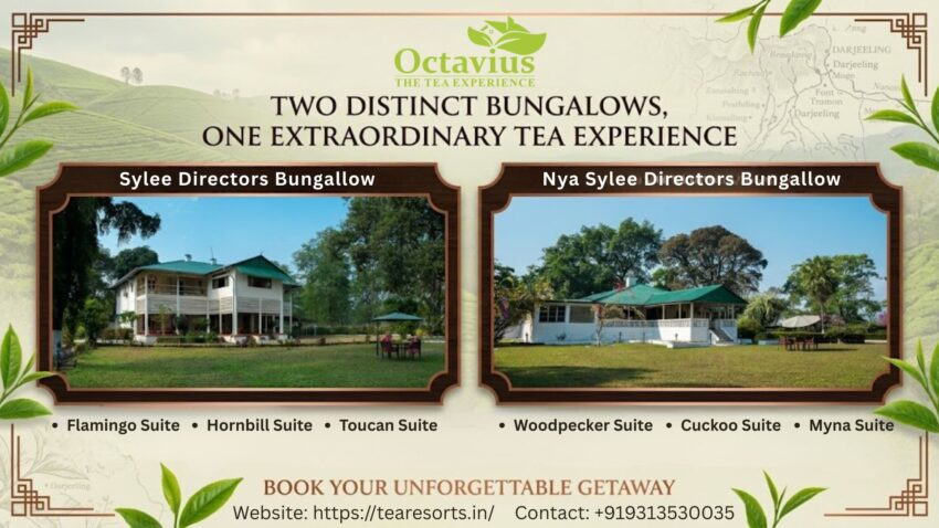 Two Distinct Bungalows