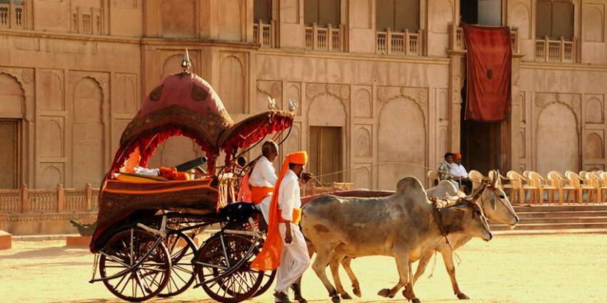 Bikaner Rajasthan Viajes VIVA India