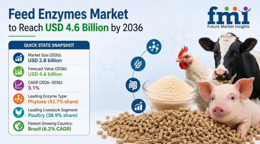 Feed Enzymes Market