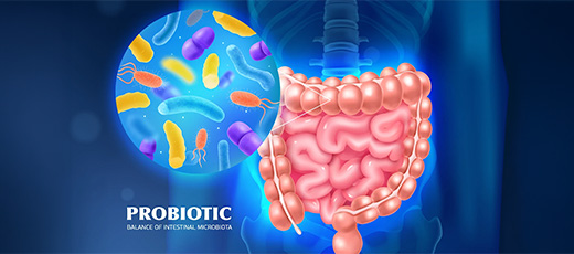 Probiotic Exporters in India