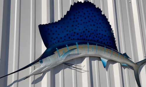 imageye imgi 25 sailfish 55 hss head 80273.1684939234