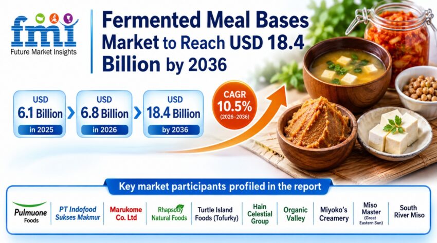 Fermented Meal Bases Market