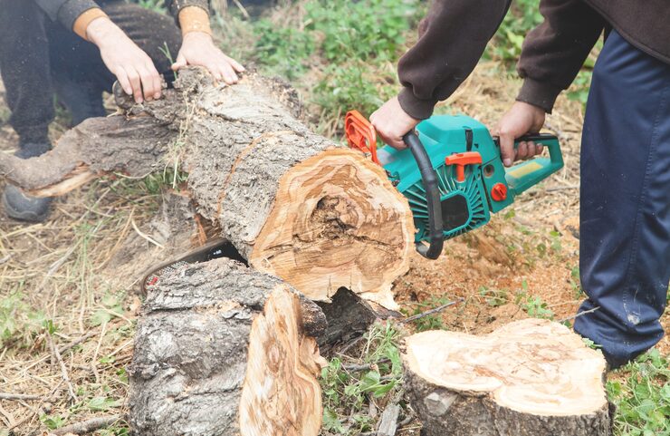 stump grinding service in Woodstock GA