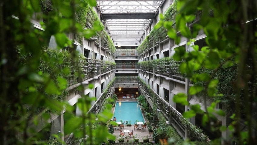 mijardinvertical5
