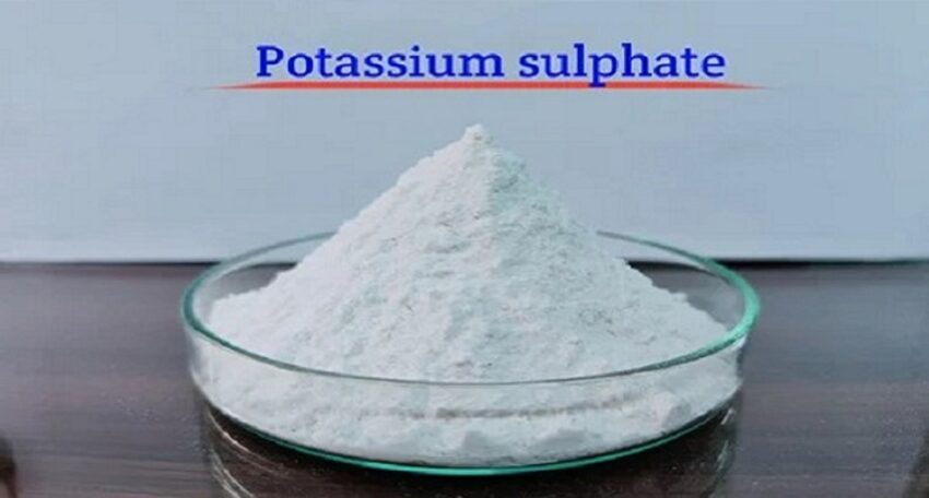 Potassium Sulfate Price Trend