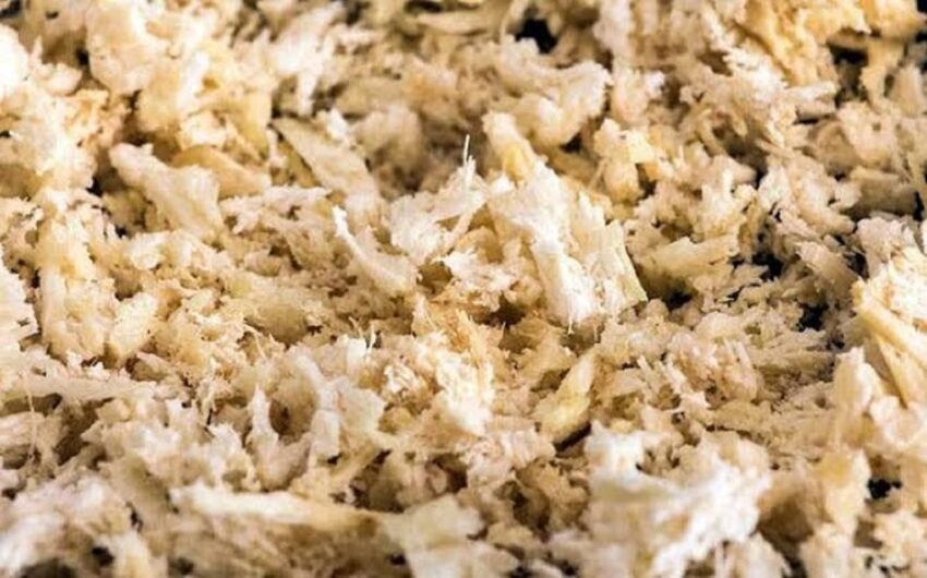 Bagasse Pulp