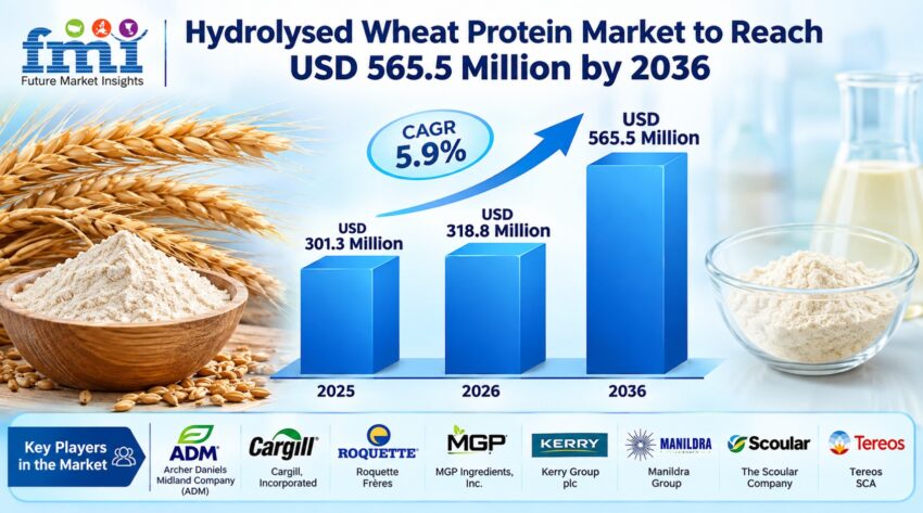 Hydrolysed Wheat Protein Market