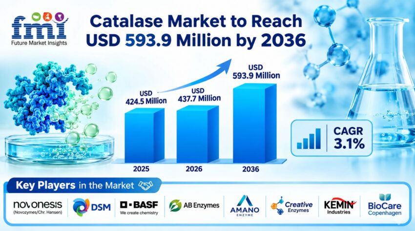 Catalase Market