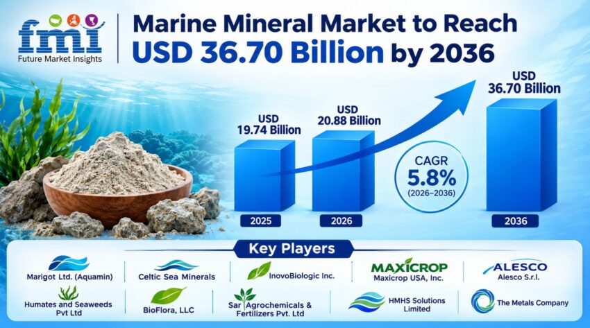 Marine Mineral Market