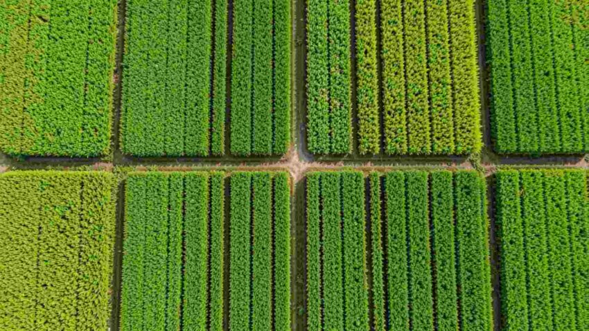 Godrej Plots Coimbatore Smart Land Investment Choice in 2026