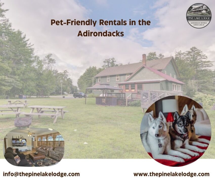 pet friendly rentals in Adirondacks