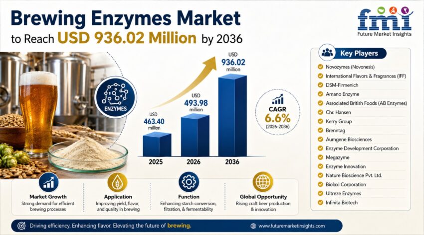 Brewing Enzymes Market