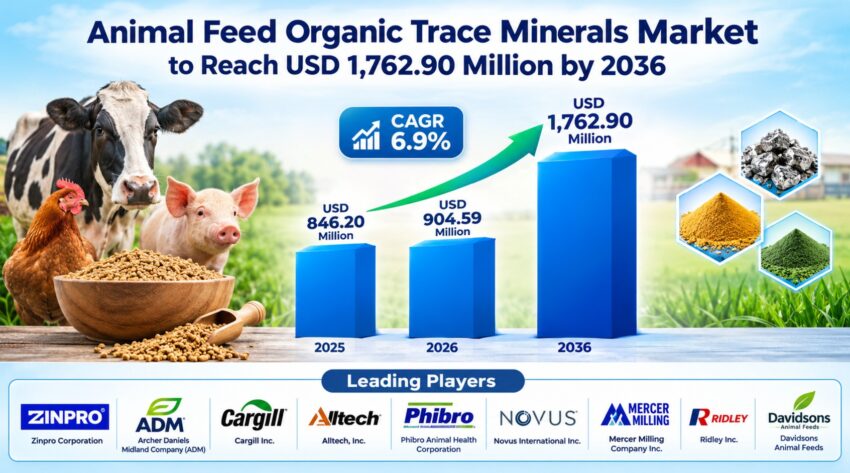 Animal Feed Organic Trace Minerals Market