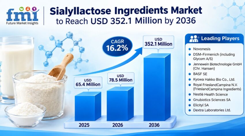 Sialyllactose Ingredients Market