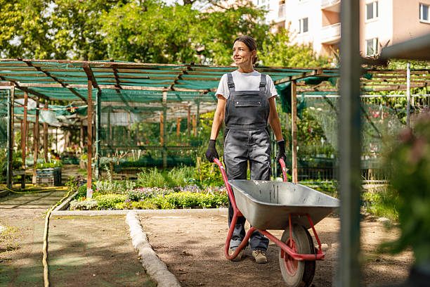 istockphoto 2239626956 612x612 1