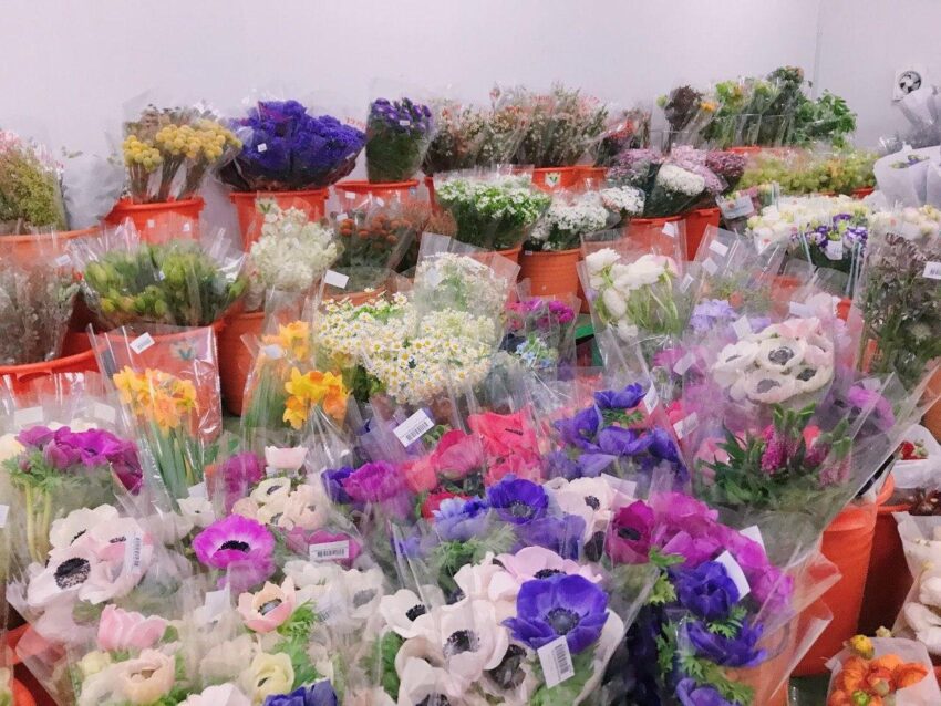 Preserved Flower