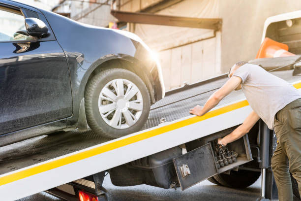 istockphoto 1188404617 612x612 1