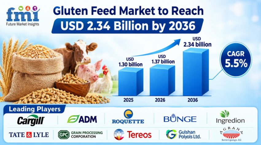 Gluten Feed Market