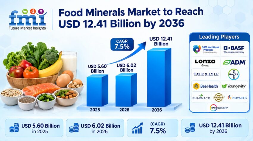 Food Minerals Market