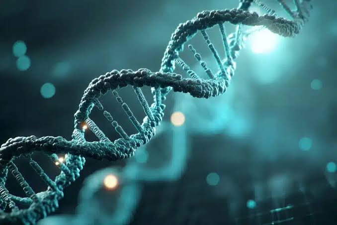 Can Peptide Therapy Support Healthy Vascular Function
