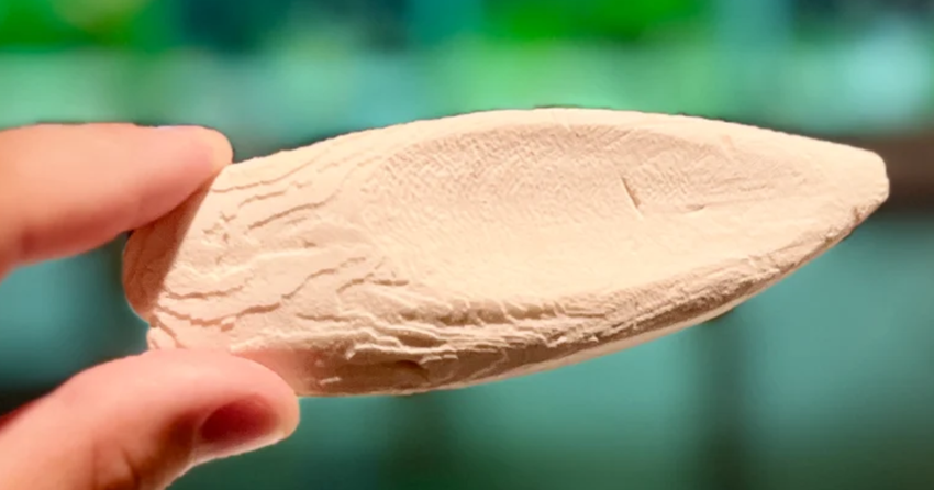 cuttlebone for mystery snails