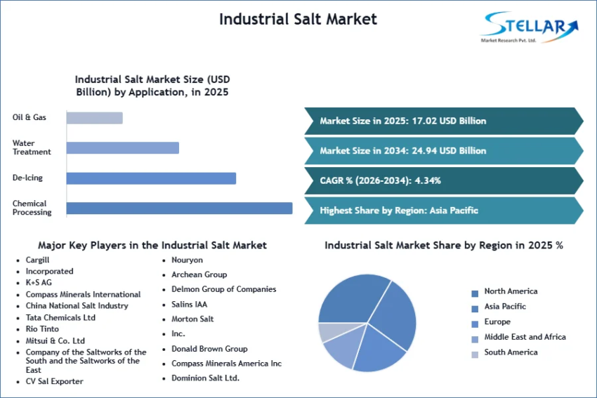 Industrial Salt Market SMR Snapshot 1