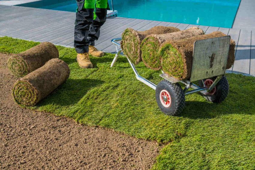 68af790541726f5b2163dcb6 sod on truck 1 5