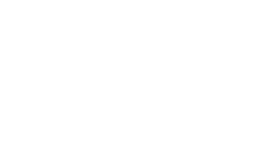 Splendid surprise logo v1 white
