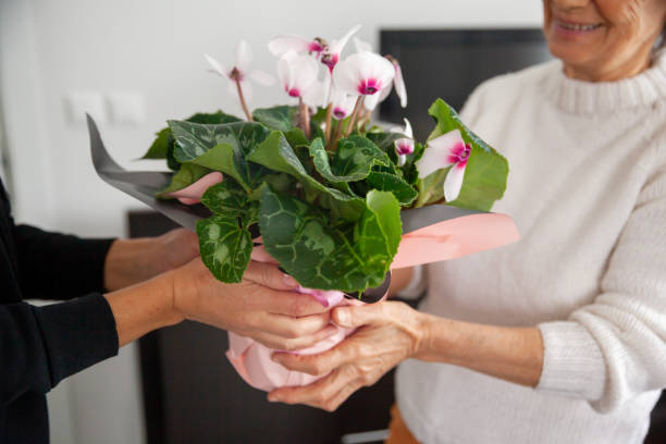 istockphoto 1847170212 612x612 1