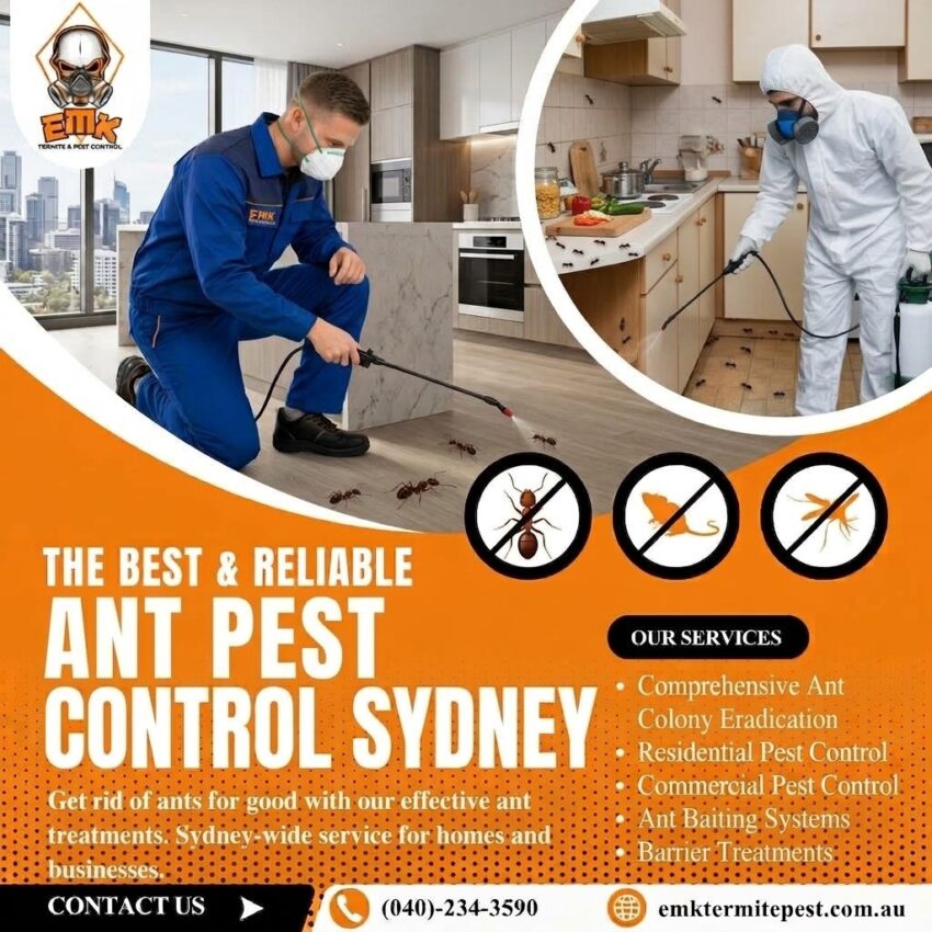 ant pest control